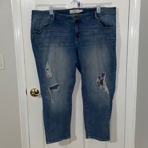 Torrid Boyfriend Light Wash Jeans Size 24